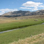 IMG_0191
