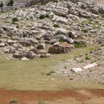 tmmuz .09.2008 (13)