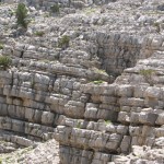 tmmuz .09.2008 (38)