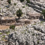 tmmuz .09.2008 (44)