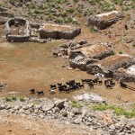 tmmuz .09.2008 (74)