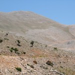 tmmuz .09.2008 (77)