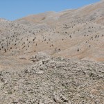 tmmuz .09.2008 (79)