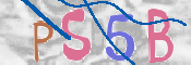 CAPTCHA (Şahıs Denetim Kodu) Resmi