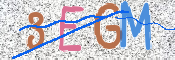 CAPTCHA (Şahıs Denetim Kodu) Resmi